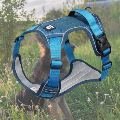 harnais anti traction chien bleu