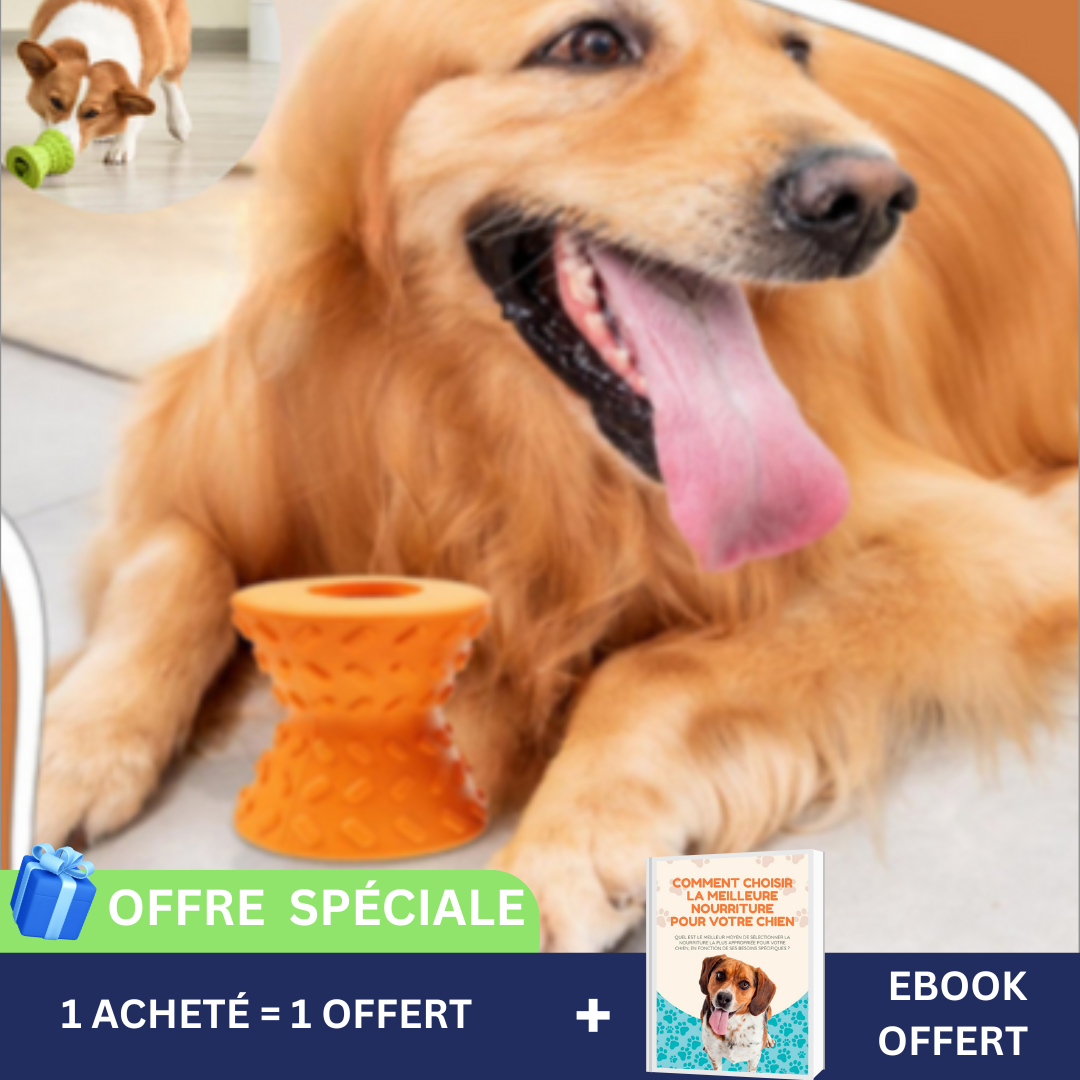 FoodToy™-Le jouet Alimentaire pour tous les chiens