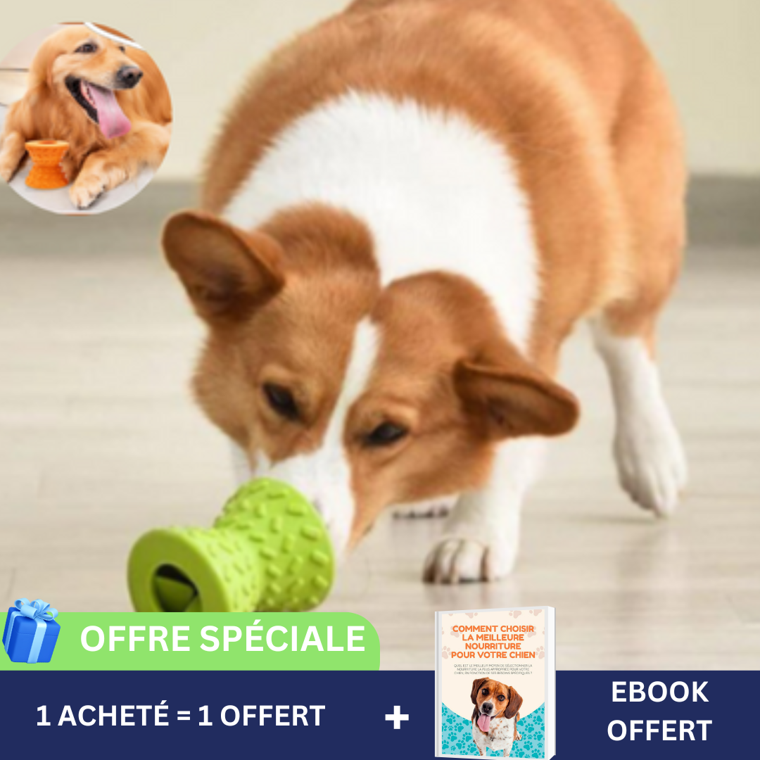 FoodToy™-Le jouet Alimentaire pour tous les chiens