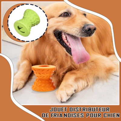 FoodToy™-Le jouet Alimentaire pour tous les chiens