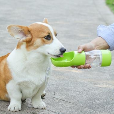 Bottle&Bowl™ | Gourde pour chien