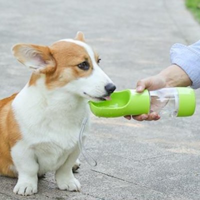 Bottle&Bowl™ | Gourde pour chien - tia - canine.com