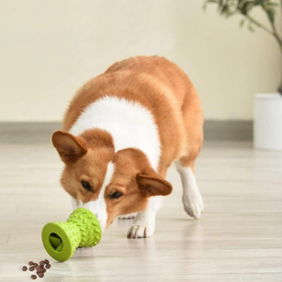 FoodToy™-Le jouet Alimentaire pour tous les chiens