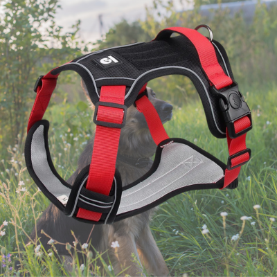harnais anti traction chien noir