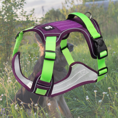 harnais anti traction chien violet