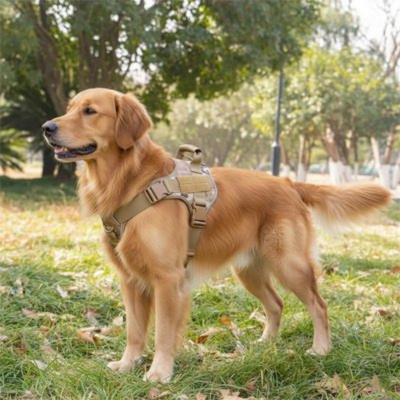 harnais chien camouflage libere le mouvement