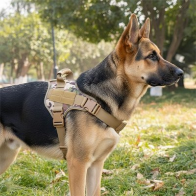 harnais chien camouflage militaire adaptable selon la situation