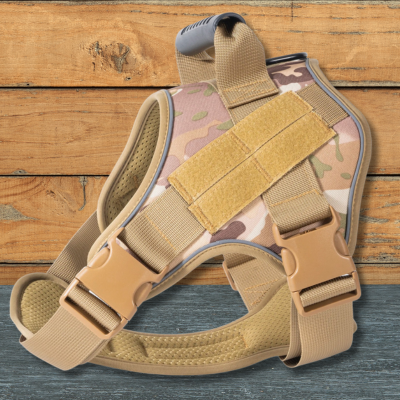 harnais chien camouflage reglable