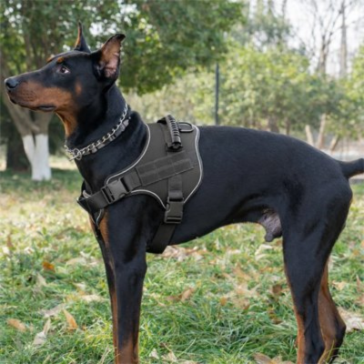 harnais chien confortable noir avec la poignee dorsale