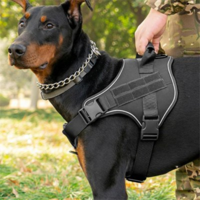 harnais chien noir robuste pour les efforts intenses