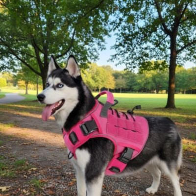 harnais chien rose rouge reglable