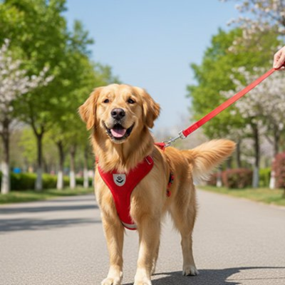 harnais chien rouge controlable durant la sortie