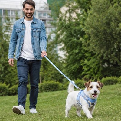 harnais pour Chien bleu ajustable