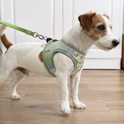 harnais pour Chien vert sécuritaire