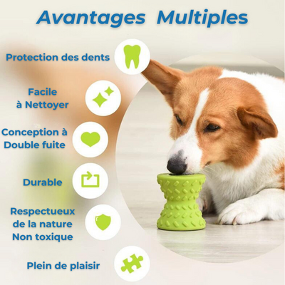 FoodToy™-Le jouet Alimentaire pour tous les chiens