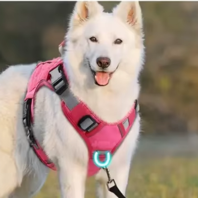 la securite optimale de harnais chien avec boucle devant