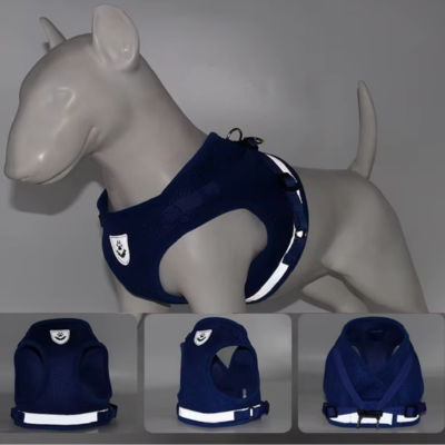 le harnais chien bleu visible pendant la promenade nocturne