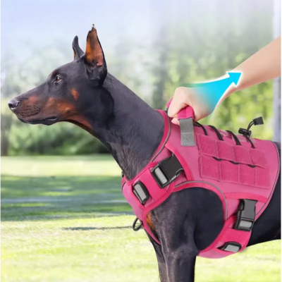 prise de controle immediate de harnais chien robuste dorsal